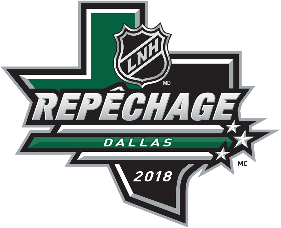 NHL Draft 2018 Alt. Language Logo t shirts iron on transfers